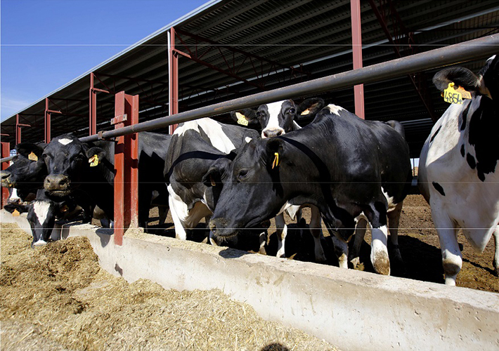 Foto Torre Santamaría primera granja de leche capaz de convertir el 100% de sus residuos orgánicos en energía gracias al apoyo de Grupo Lactalis y Axpo.